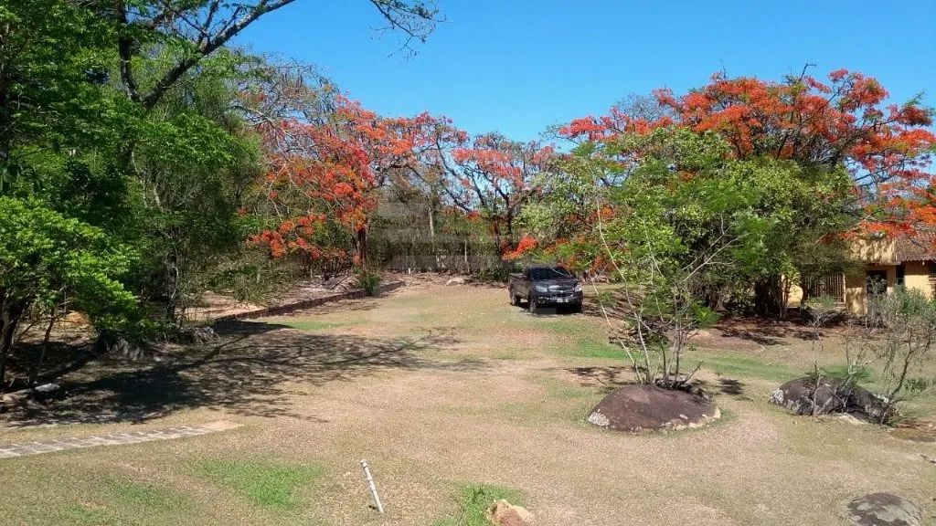 Sítio com 26 mil m2 no Jd Carlos Gomes - Campinas - Foto 4