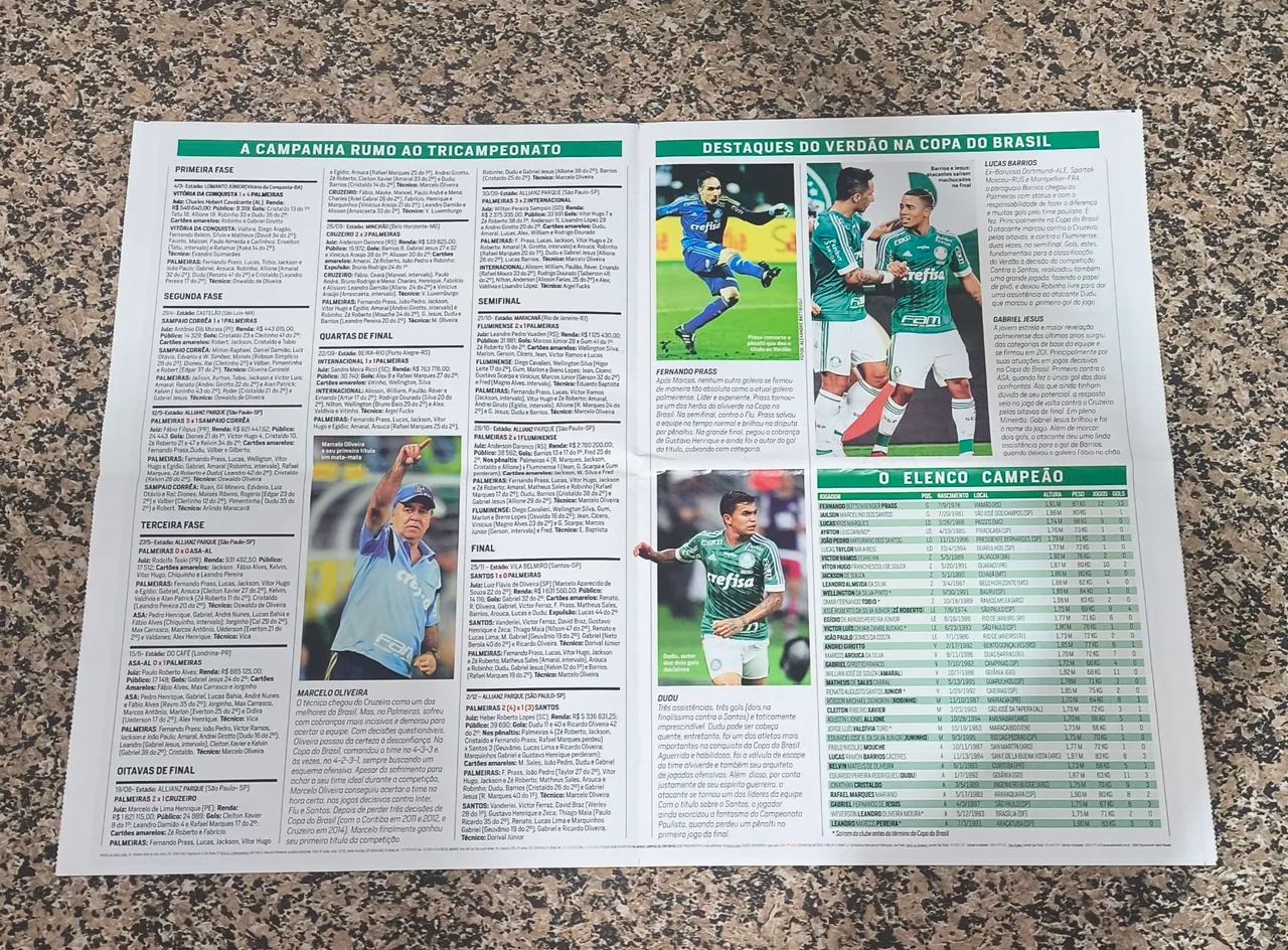 Poster Palmeiras Copa do Brasil 2015 - Foto 2