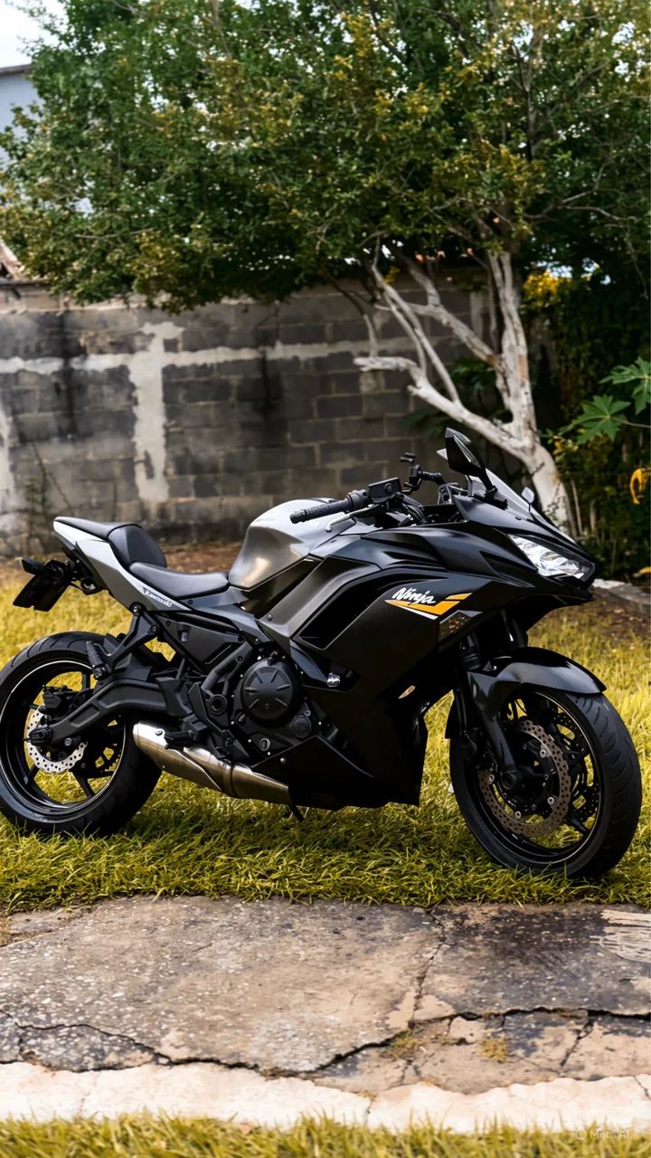 Ninja 650 2024 - Foto 3