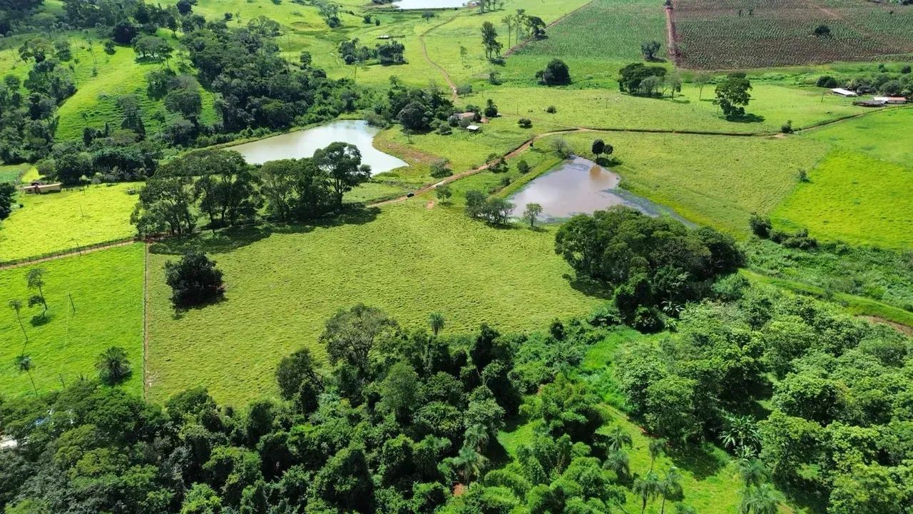 Chácara em Brazabrantes Go - 2.54 Alqueires - Foto 2