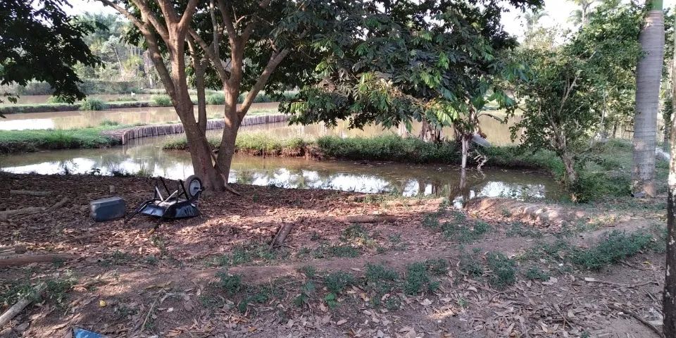 Chácara no Tibagi (Londrina/Pr) - Foto 4