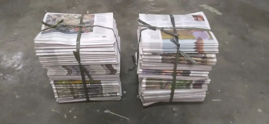 Jornal para Pet  - Foto 3