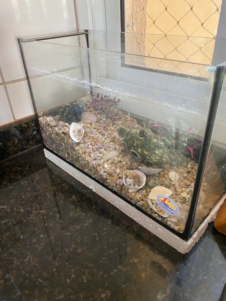 Aquário 