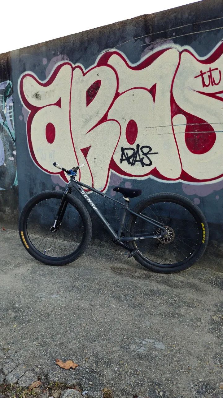 Bicicleta Sense aro 29 (Para grau)