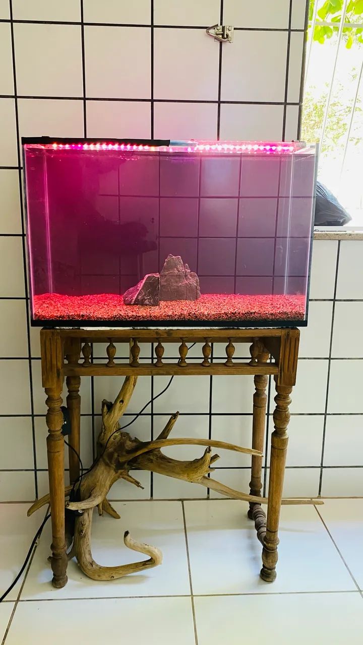 AQUÁRIO NOVO 100 LITROS 