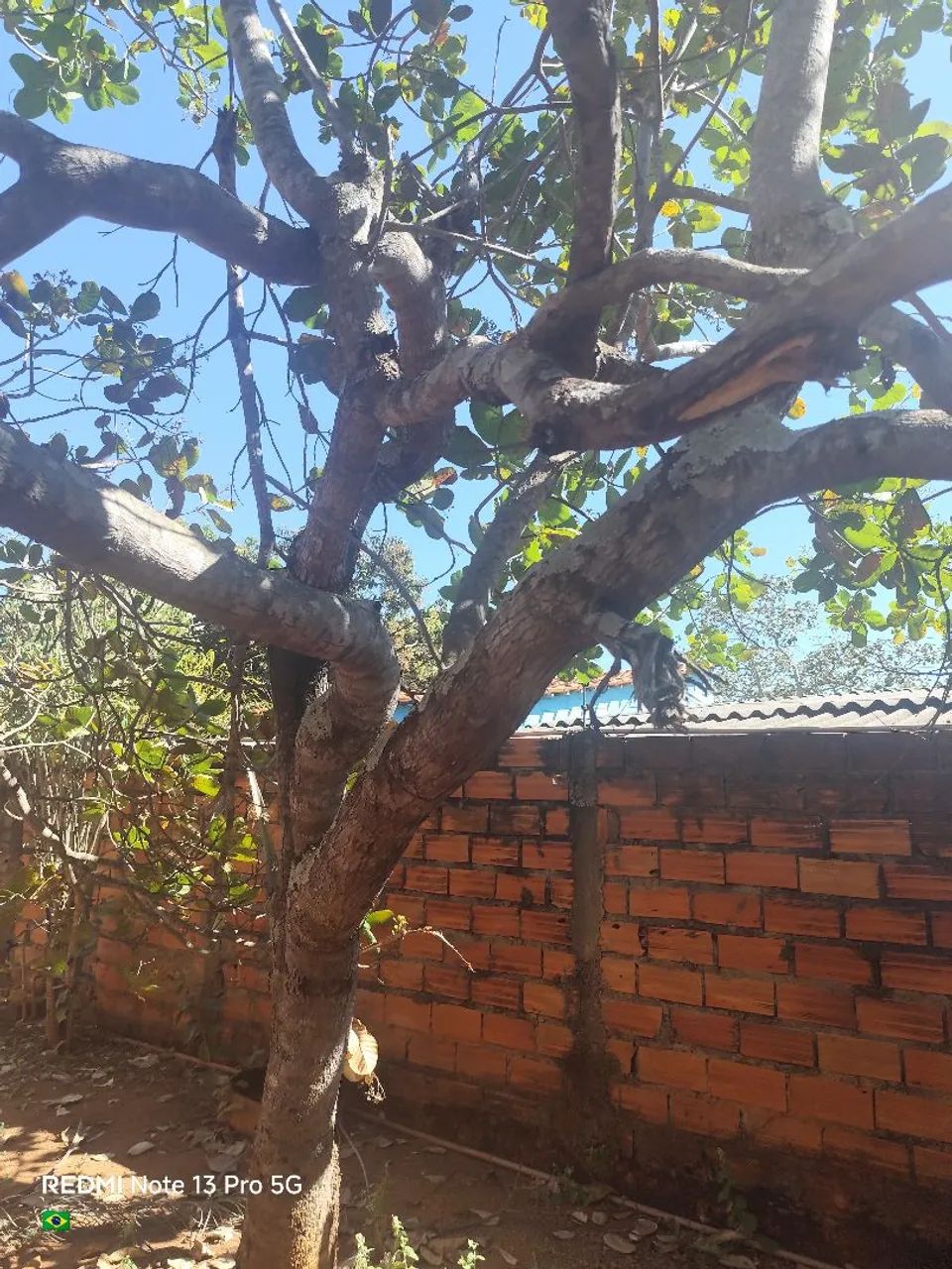 Vendo LT grande com barracão URBANO  - Foto 3