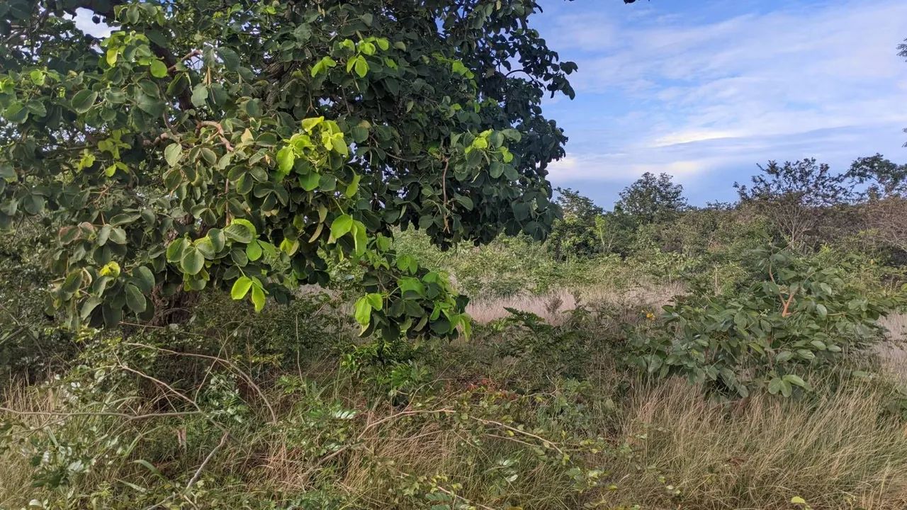 Chapada do sol  - Foto 3
