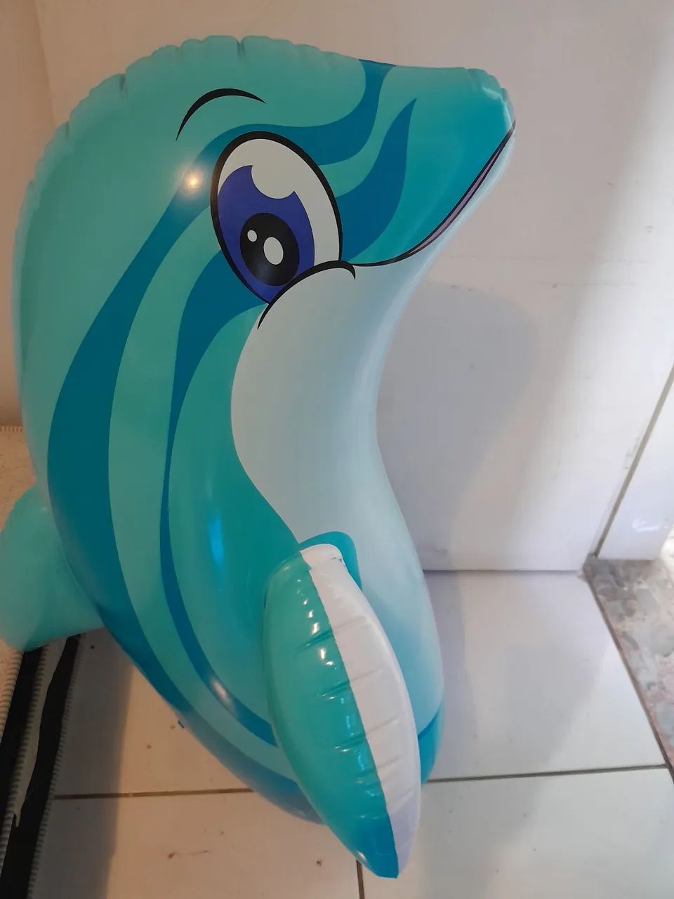 Golfinho João bobo - Foto 2