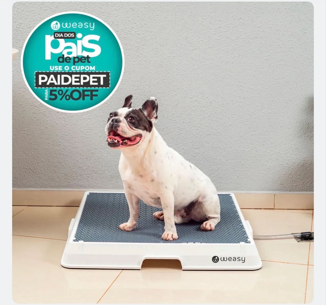 Weasy Cão | Banheiro inteligente para cachorro - Foto 2