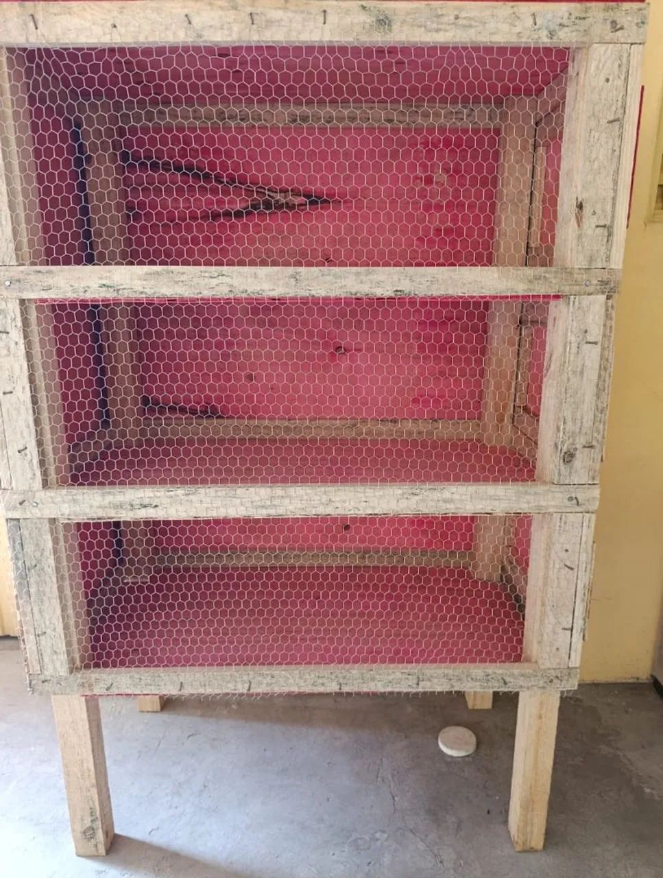 Viveiro para Codornas e AVES!(Pronta Entrega) - Foto 5