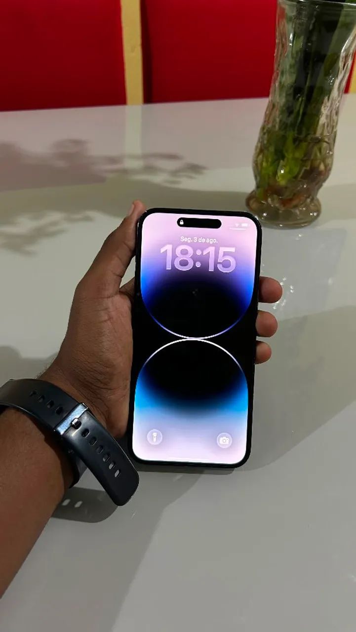 iPhone 14 Pro Max 