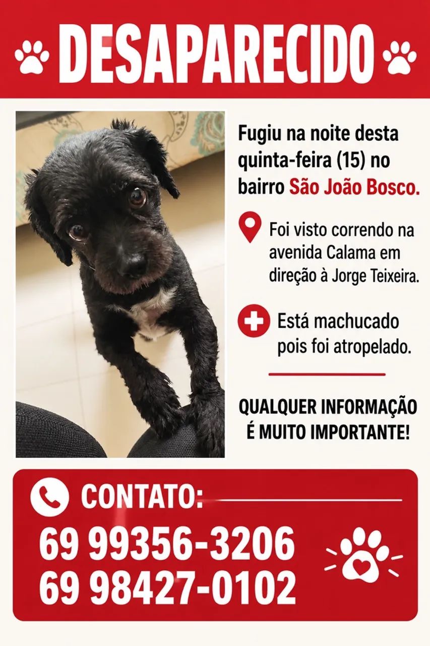 CACHORRO DESAPARECIDO