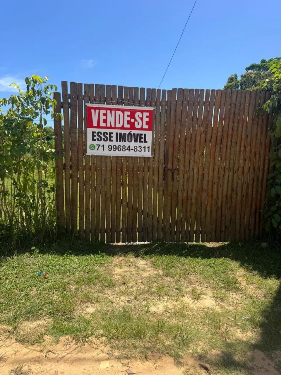 Foto - Mata de São João - 