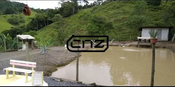 Chácara / Sitio para venda em Vidal Ramos - Foto 2