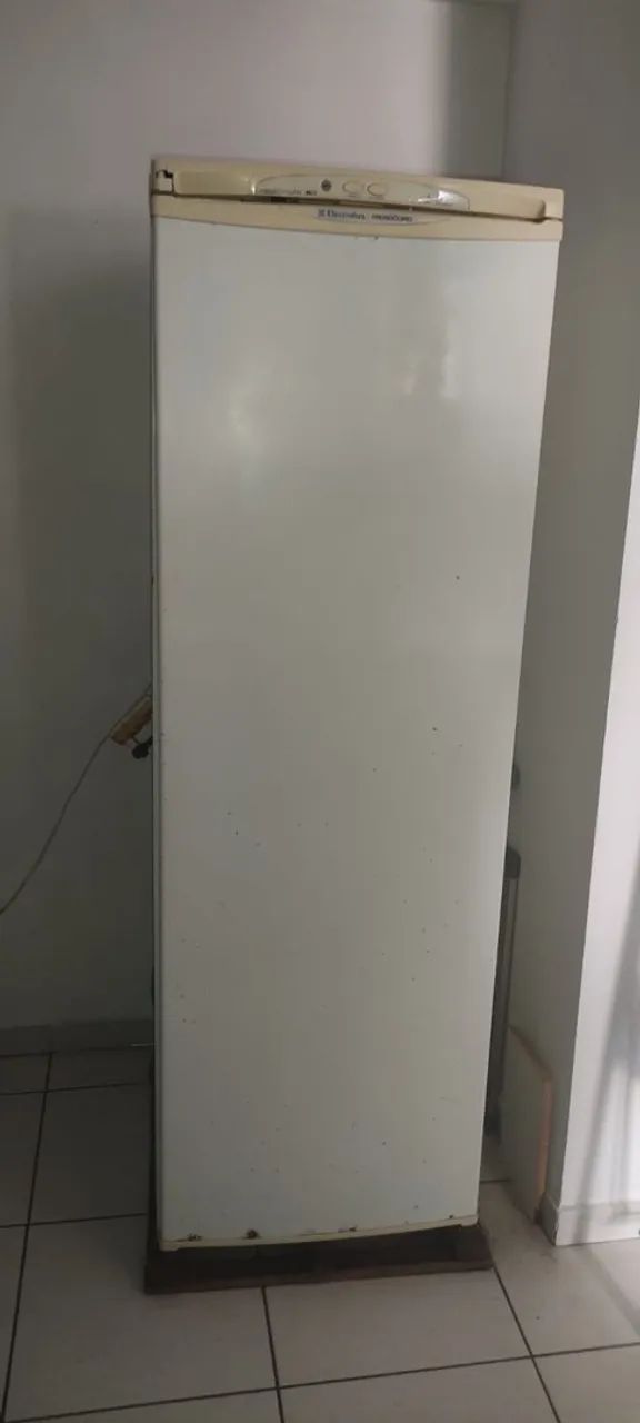 Freezer vertical 