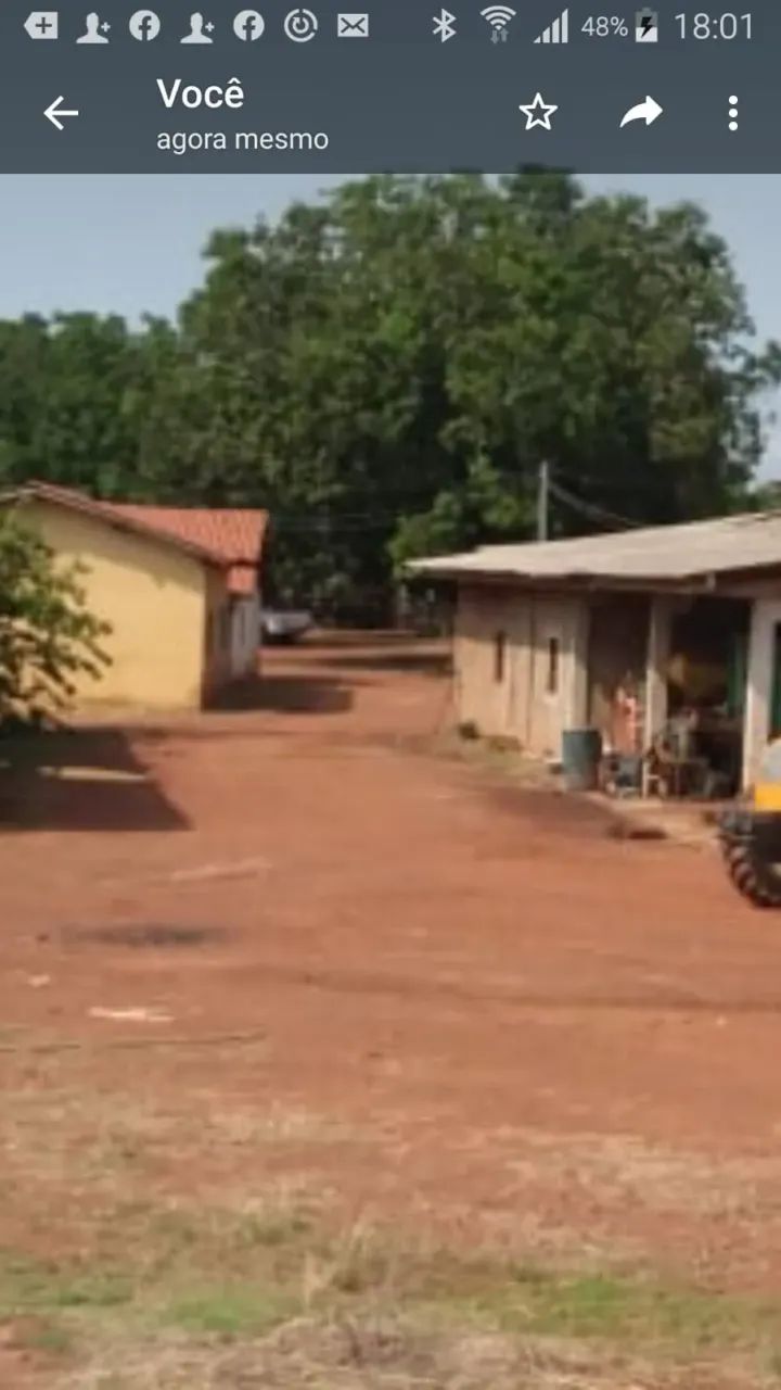 Fazenda a venda em Goiatins Tocantins!!! - Foto 4