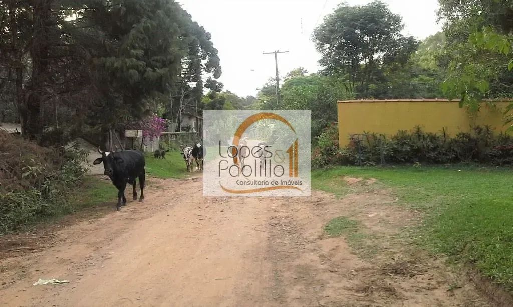 Ótimo Sítio à venda em Mairiporã! - Foto 4