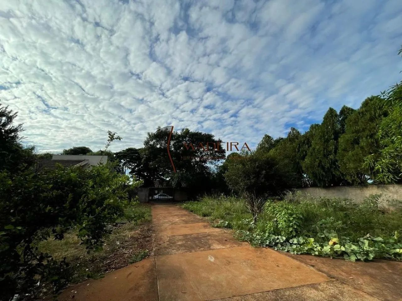 Vende-se Terreno de 1.030m² com Barracão  Aceita Permuta - Foto 5