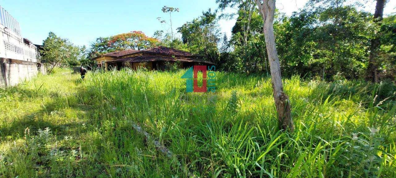 Vargem Grande | Terreno - Foto 6