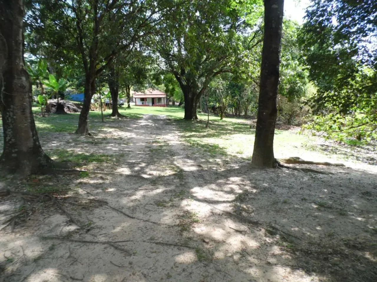 CHACARA NO NOVA SUIÇA - PIRACICABA/SP. - Foto 2