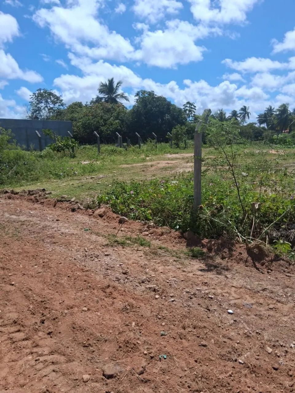 Venda  - Foto 2