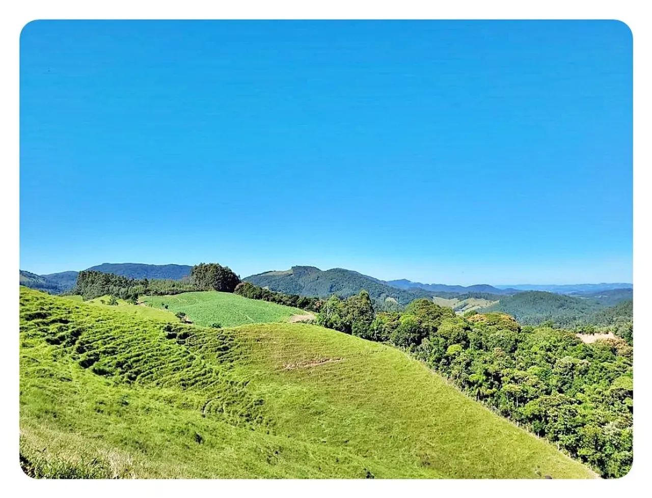 Terreno Rural à venda, 236000 m² em São Bonifácio/SC - Foto 3