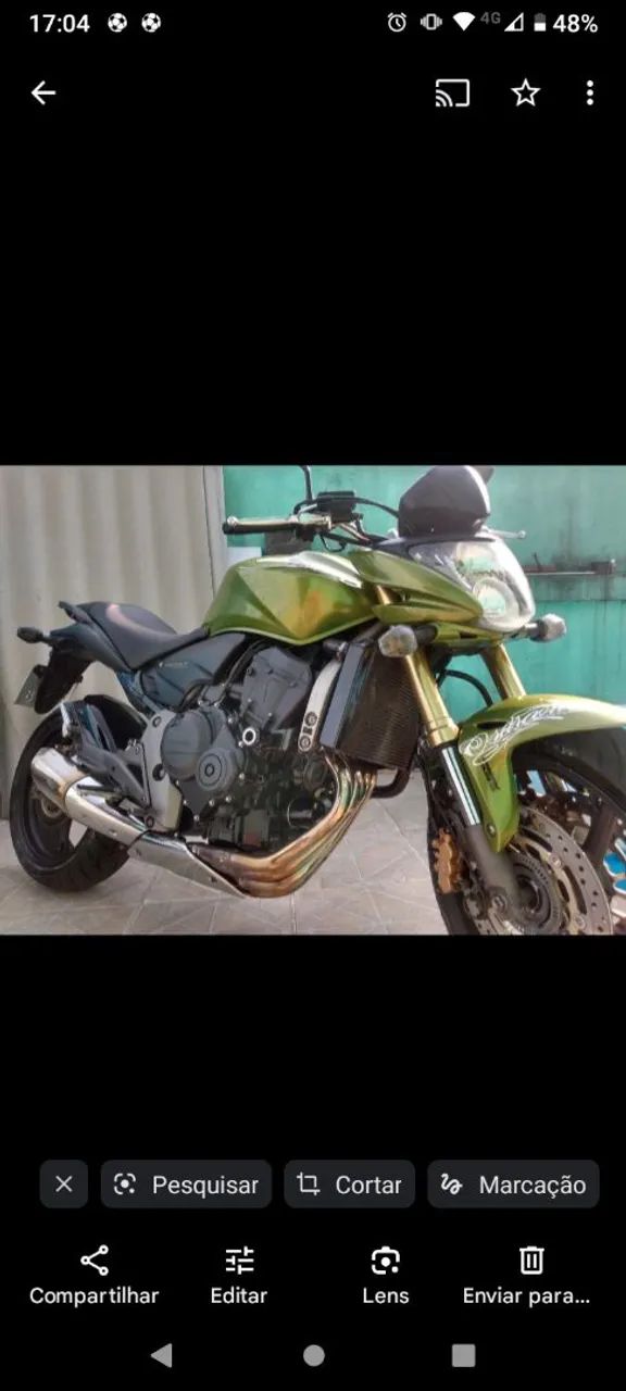 Hornet 2010 