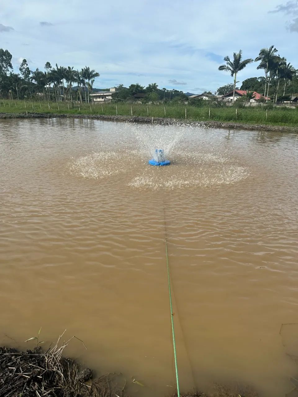 Venda de sítio 