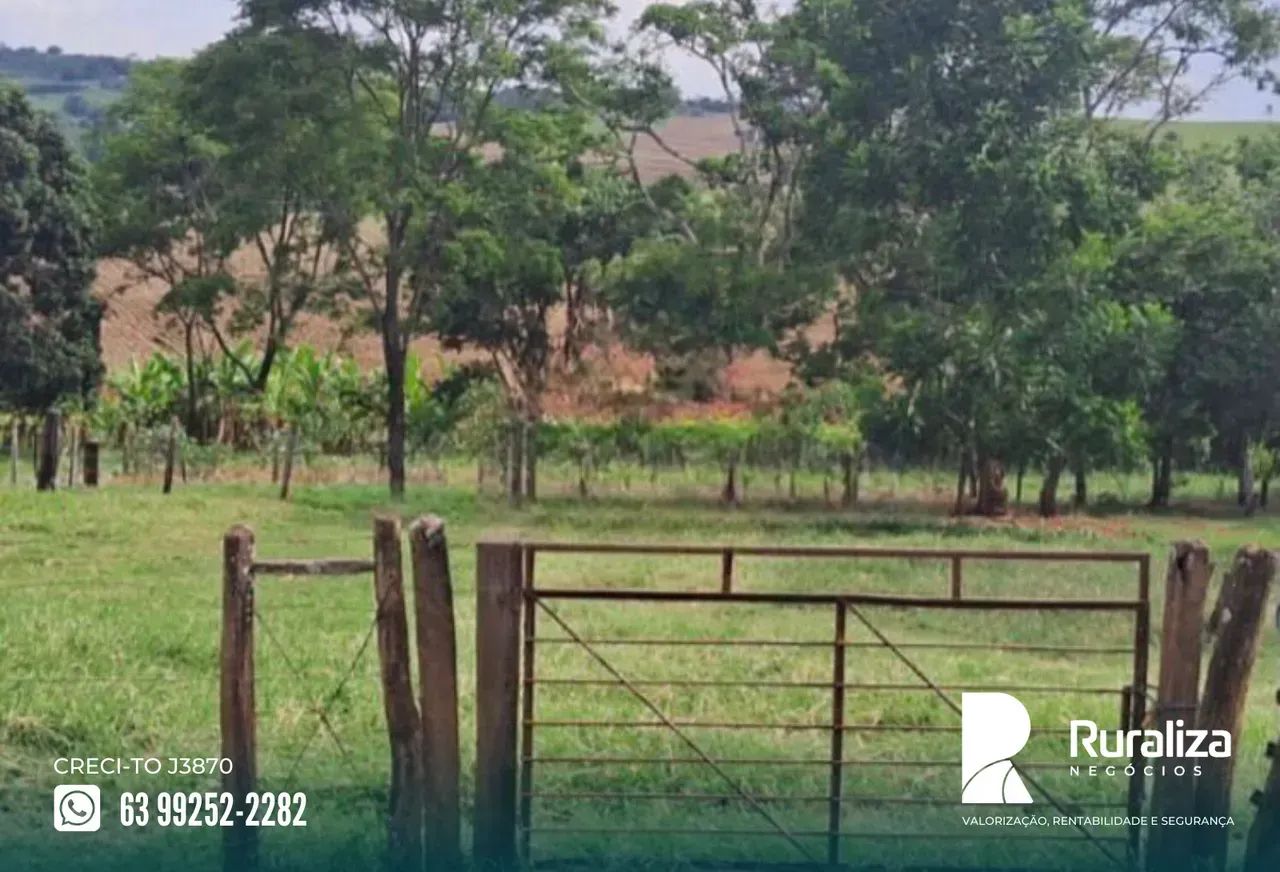 FAZENDA 49 ALQUEIRES | LAVOURA + PASTAGEM - Foto 4