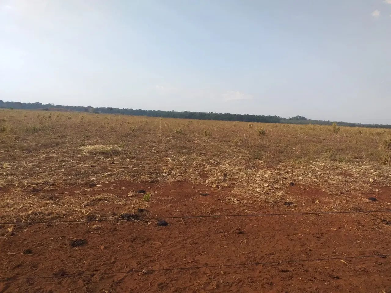 Fazenda a venda em  - Goiatins - Tocantins - Foto 3