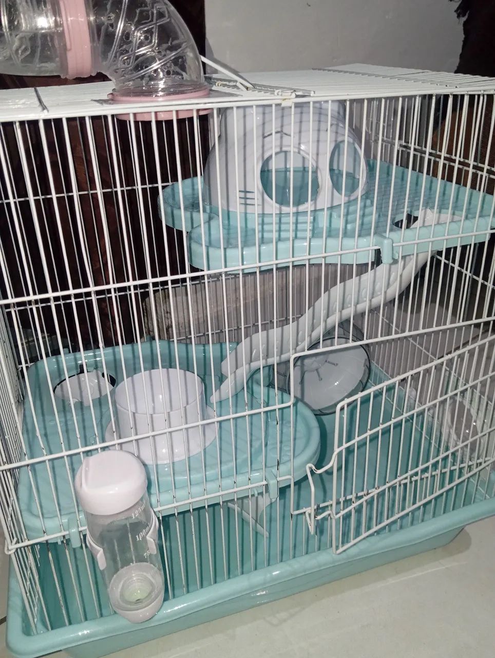 Kit hamster  - Foto 5