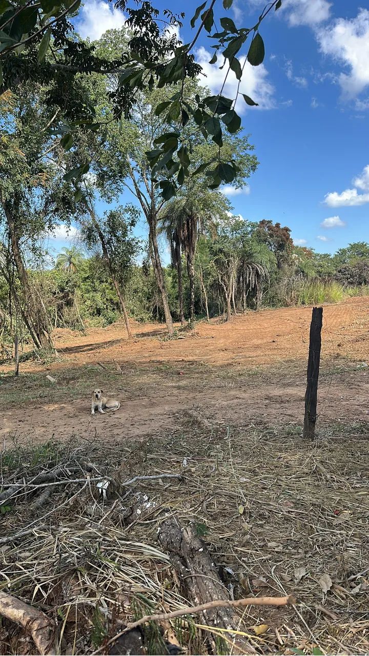 LOTE EM LAGOA SANTA 