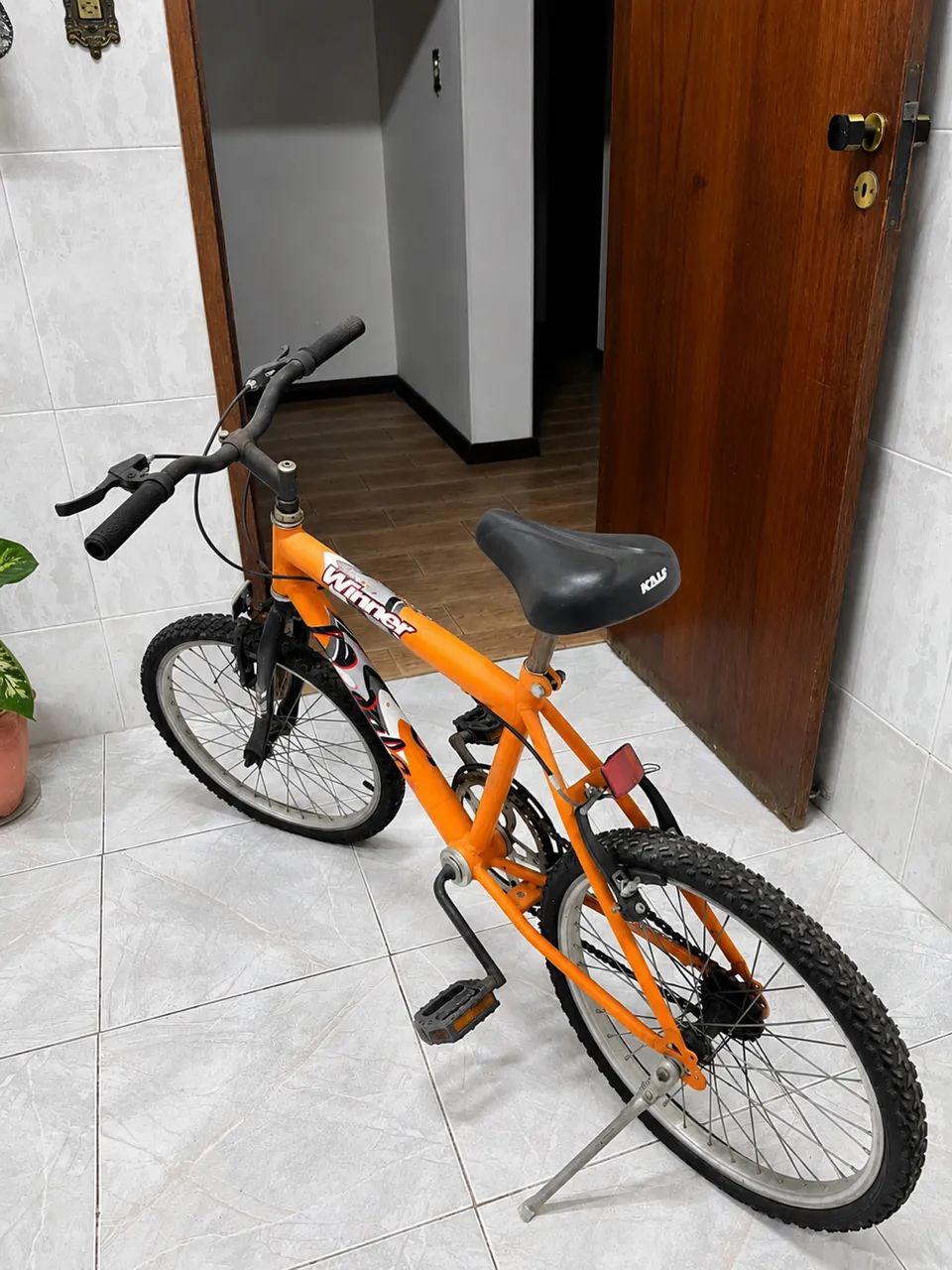bicicleta  - Foto 2