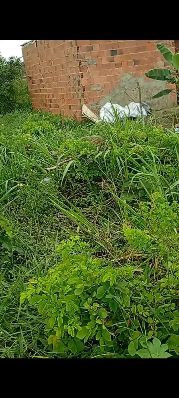 Terreno em areia branca  - Foto 3