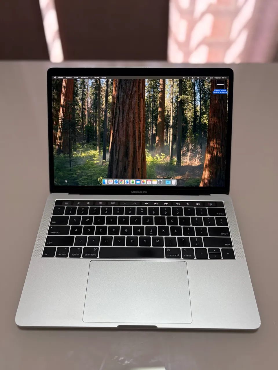 MacBook Pro 2018 Touch Bar (i5/16g/256g) 13,3 polegadas