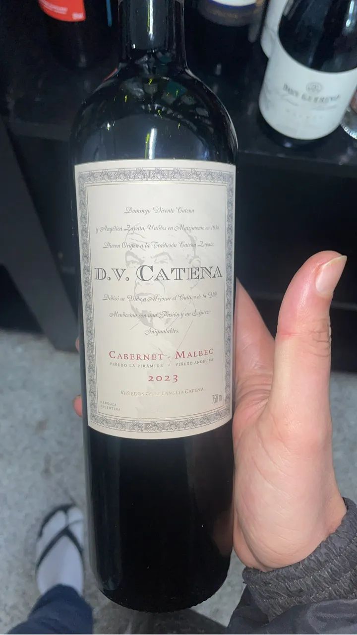 VINHOS DIVERSOS NO PREÇO 