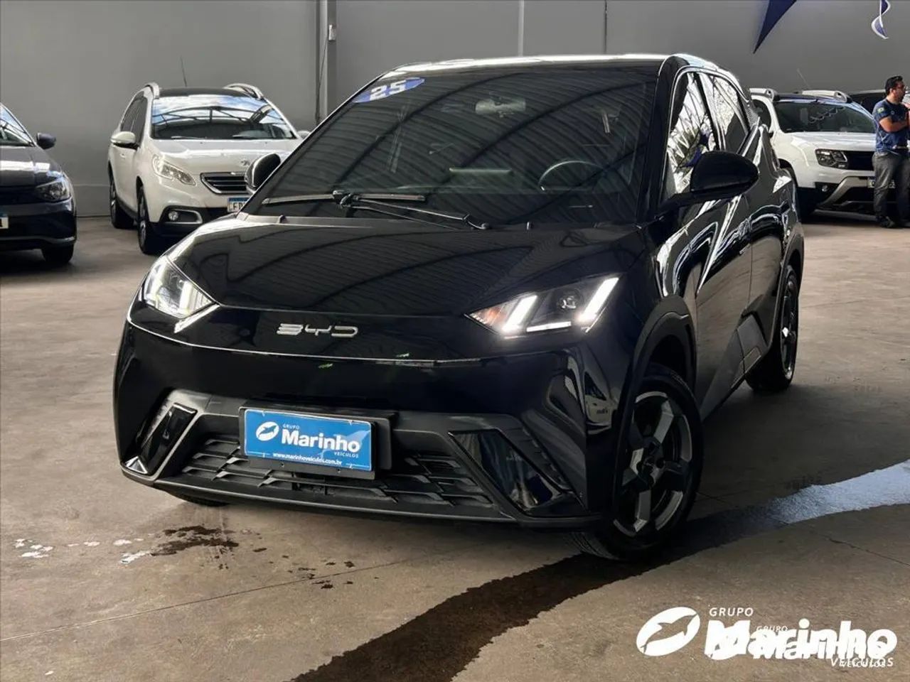 BYD Dolphin Mini (Elétrico) 2025 - Foto 2