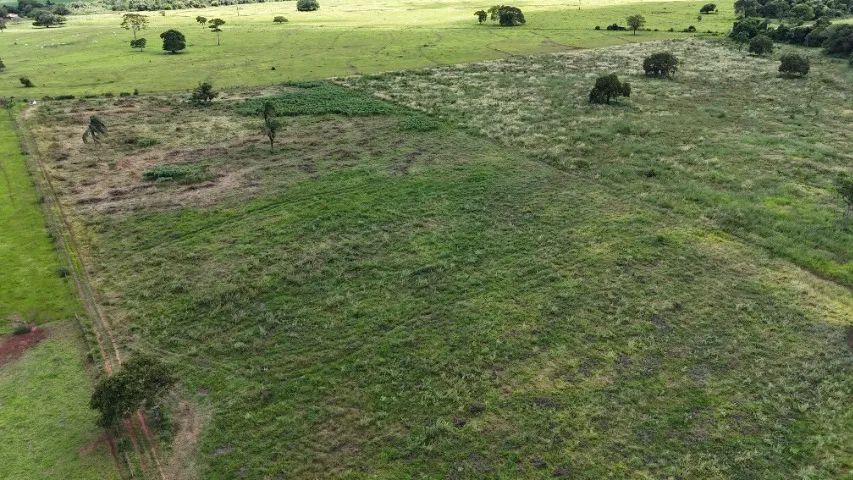  Chácara de 78 hectares em Jaraguari com córrego!! - Foto 4