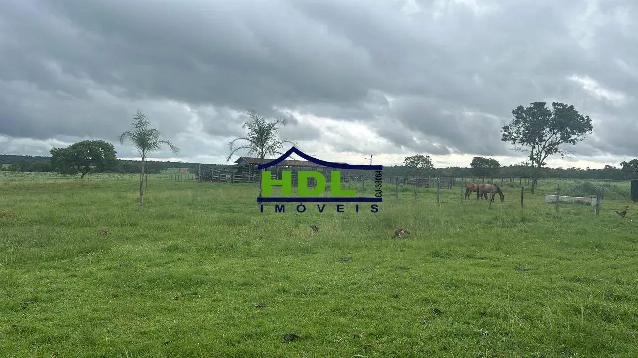 Fazenda Dupla aptidão a 40 km de Alvorada/TO - Foto 2