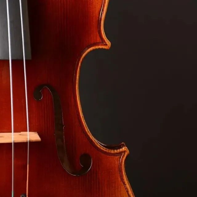 Viola de Arco 16 Polegadas (40,6 cm) - Luthier - Modelo Stradivari - 014 - Foto 3