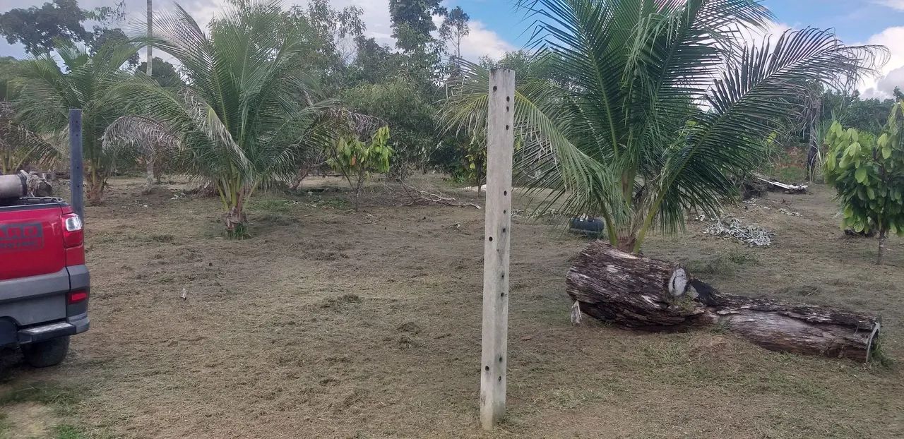 Terreno para chácara no paricatuba - Foto 4