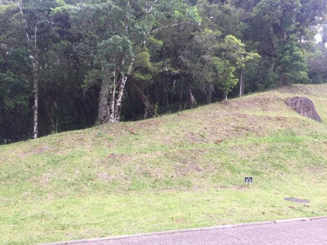 Terreno à venda, 1050 m² por r$ 779.249,00 - centro - canela/rs - Foto 3