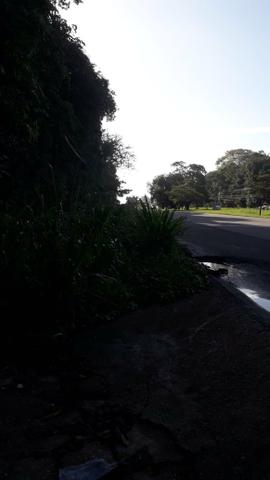 Área com 14 Hectares