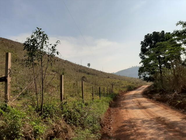 Chácara de 23.5 Alqueires com 22.5 alqueires de pasto - Faxinal do Céu. Pinhão- PR - Foto 5