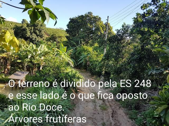 Sítio em Colatina na ES 248 na beira do Rio Doce - Foto 3
