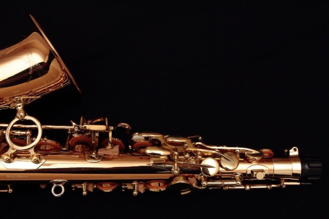 Saxofone Alto Yanagisawa A-WO2 - Foto 4