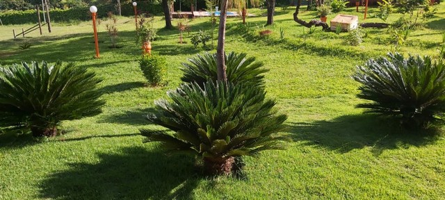 Aluguel de chácara para lazer. Valor para o final de semana 18:00 h de sexta a domingo.  - Foto 3