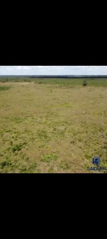  Fazenda 86.580 hectares em São Félix do Araguaia  - Foto 7