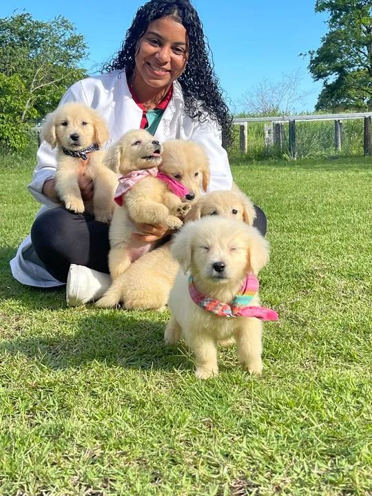 Amor de quatro patas.