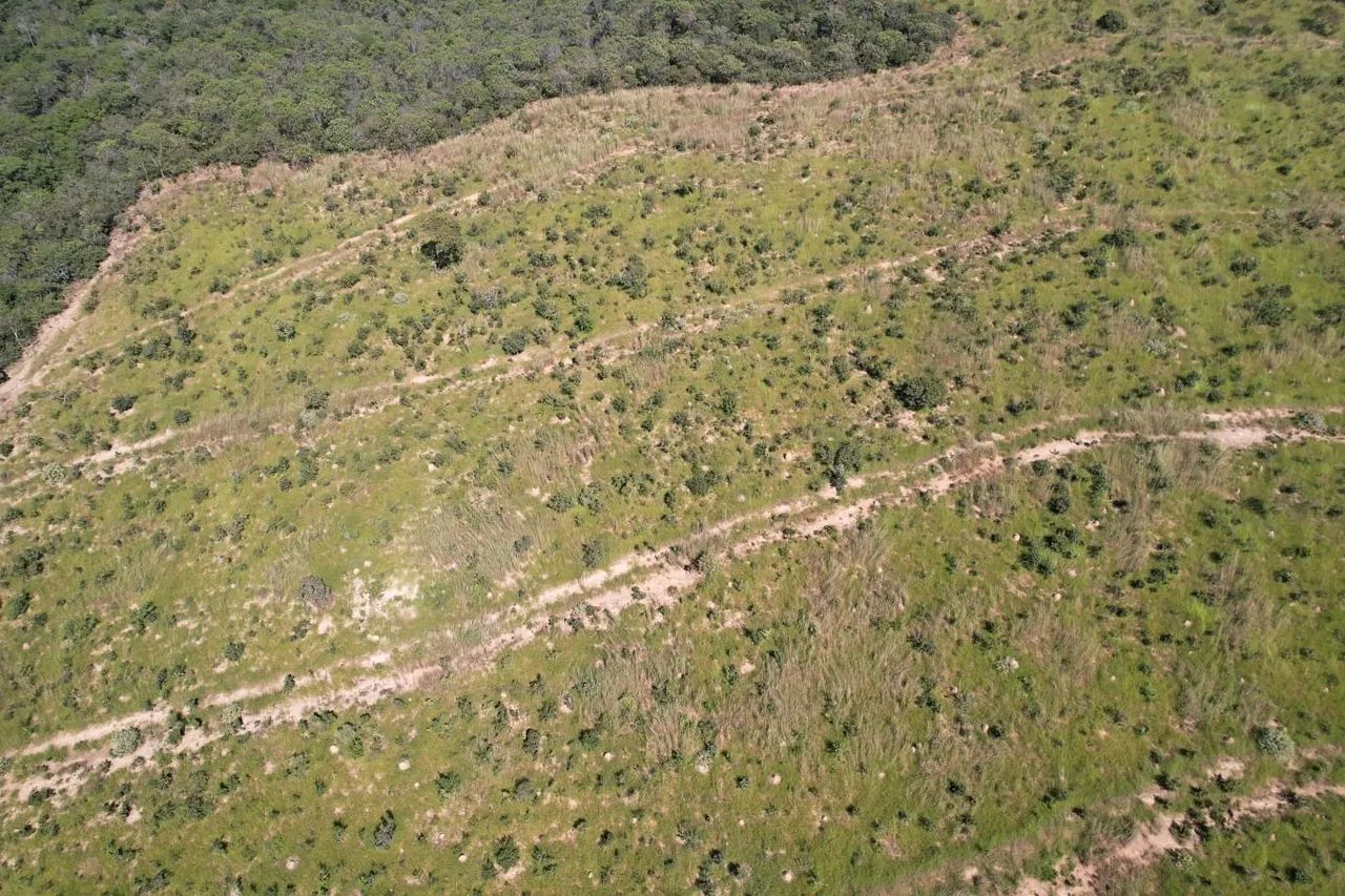 Vendo chácara de 10,5 alqueires no município de São Miguel do passa quatro - Foto 3
